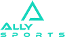 AllyFlex Sports 